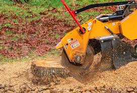 Lawn Irrigation Installation and Maintenance in Linden, TX